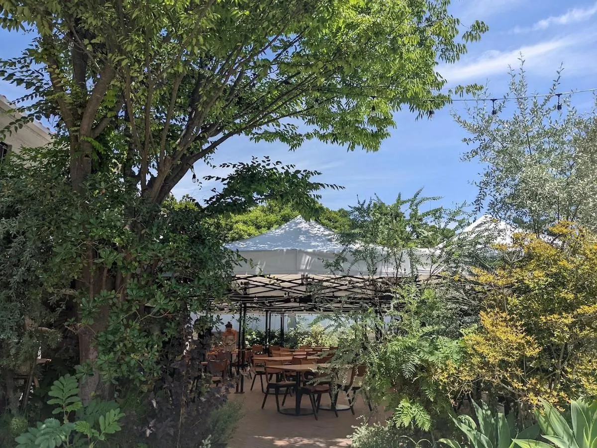 ***  Bird Hotel 镰仓市 日本